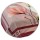 Burgundy  + AED25.00 