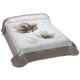 MORA Blanket King 1Ply Q82 MORA Blanket King 1Ply Q82